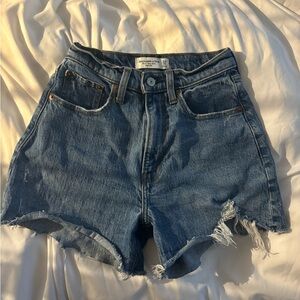 Abercrombie & Fitch Curve Love Shorts size 24.